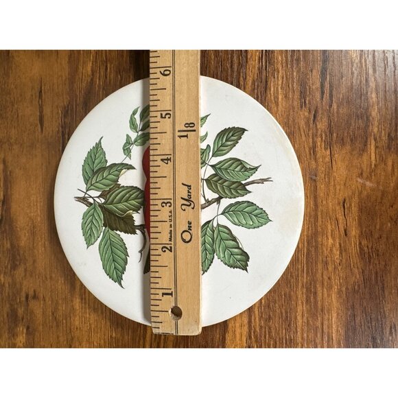 Hyalyn 1970s Scarlet Tanager Hanging Trivet with Cork Back 6" - Picture 5 of 5